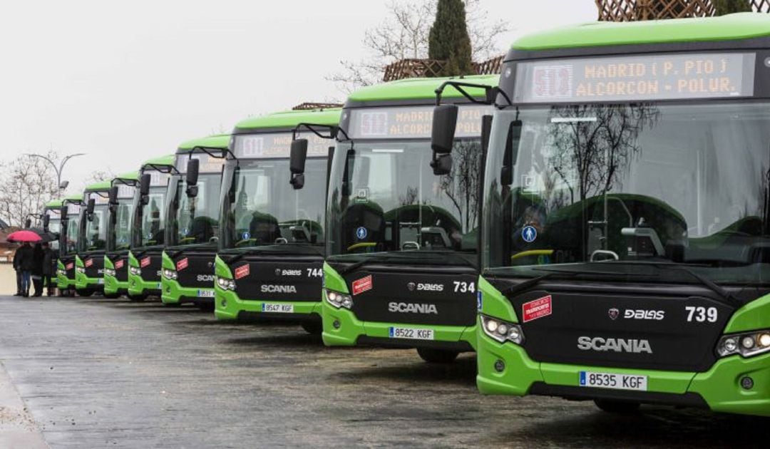 Servicio especial y directo de autobuses desde Alcorcón, Móstoles, Navalcarnero y Villaviciosa de Odón