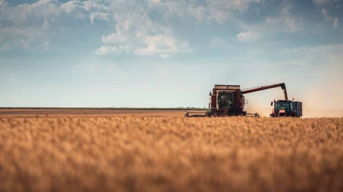 Fertilizantes un 30% más caros, una de las consecuencias de la guerra en Irán