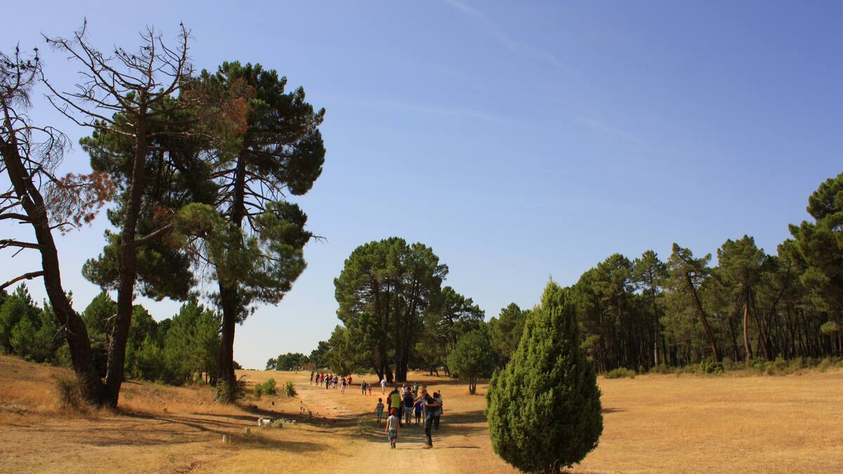 Por la cañada real de Cuenca hasta un campo del golf rústico único en España