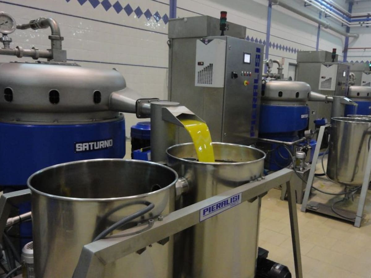 Preocupación en el sector del aceite de oliva andaluz por el último anuncio de Donald Trump