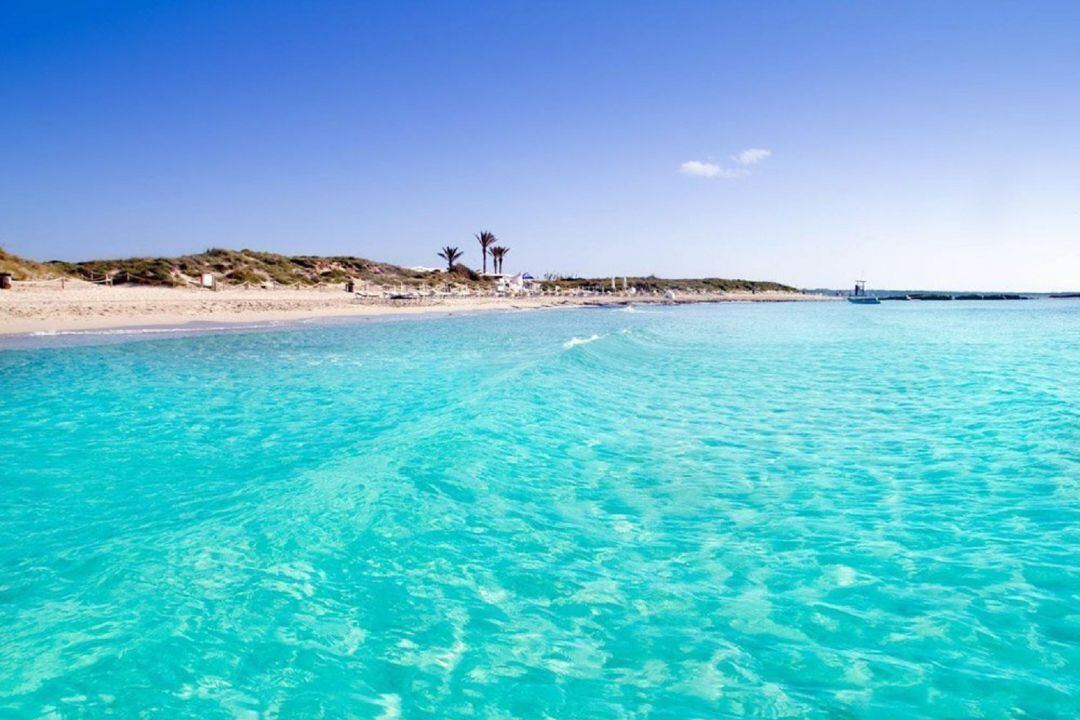 Imagen de la playa de Ses Illetes