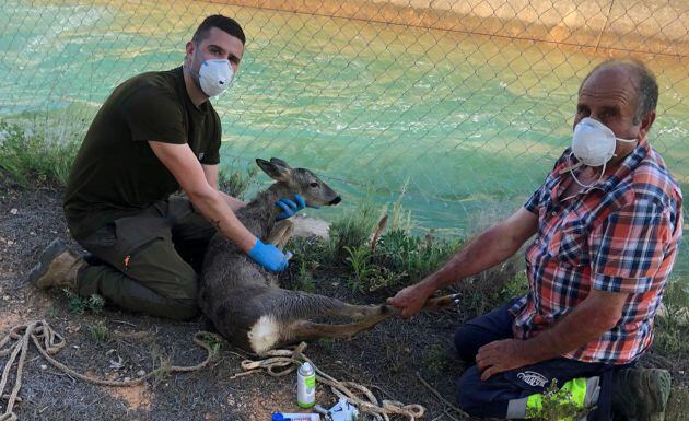 Miguel Huerta, a la izquierda, recupera a los animales rescatados para su reinserción en el monte.