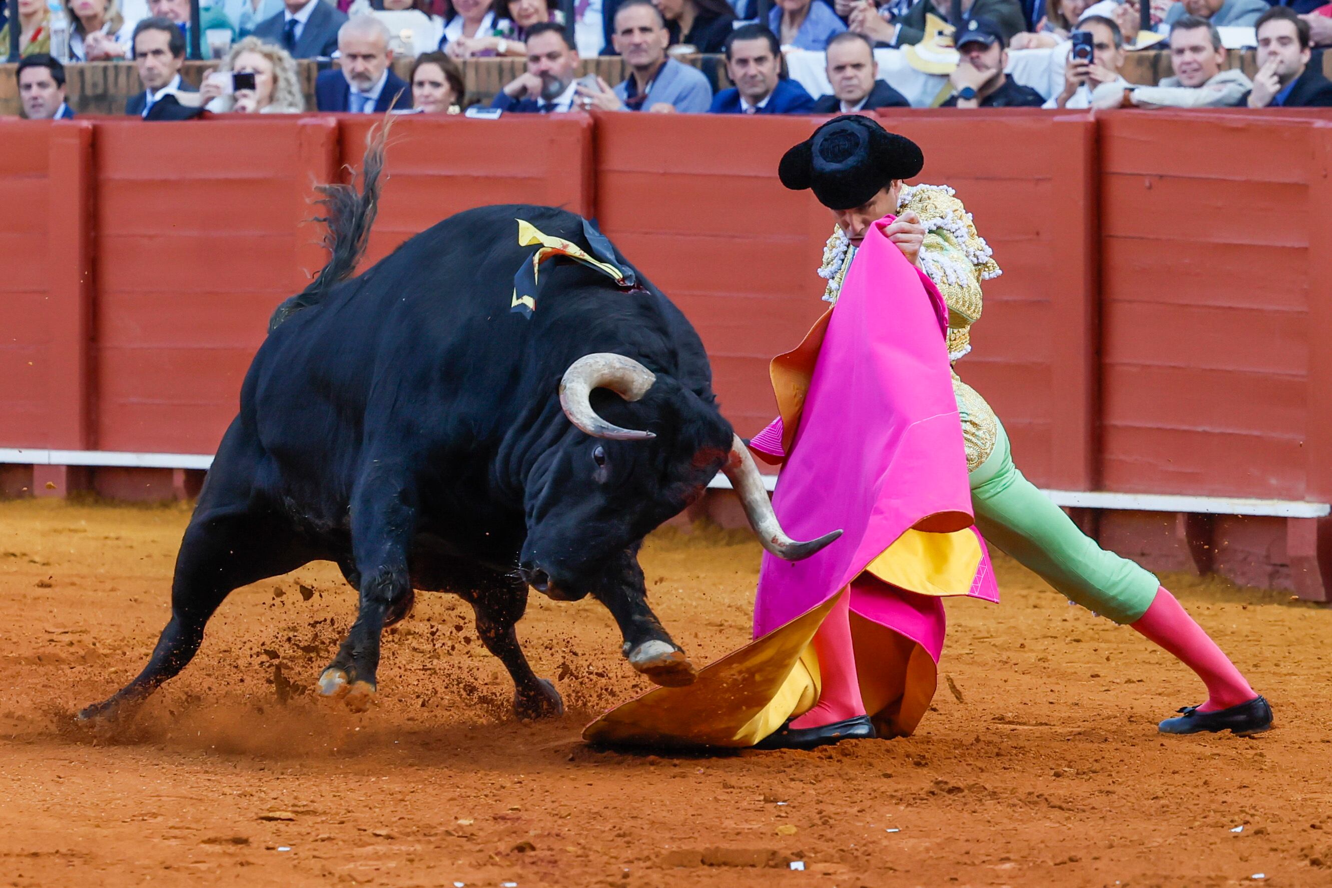 SEVILLA, 07/05/2025.- El diestro Juan Ortega en la lidia de su primer astado durante el festejo taurino correspondiente a la Feria de Abril, este miércoles en Sevilla. EFE/ José Manuel Vidal