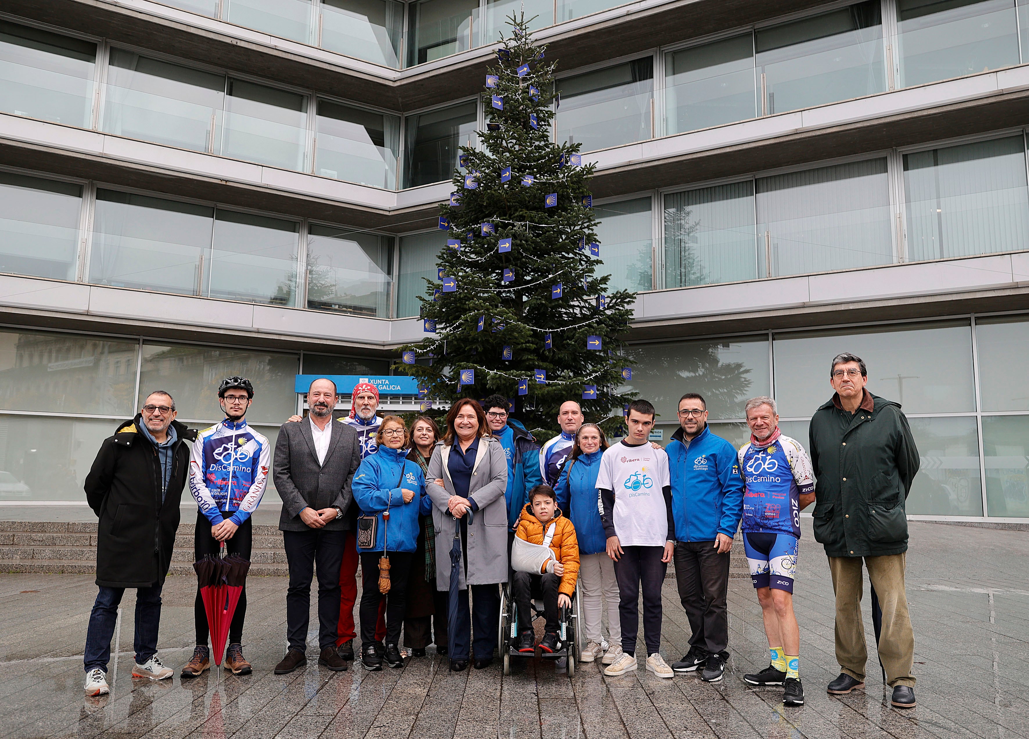 Árbore do Camiño instalada en el edificio de la Xunta en Vigo
