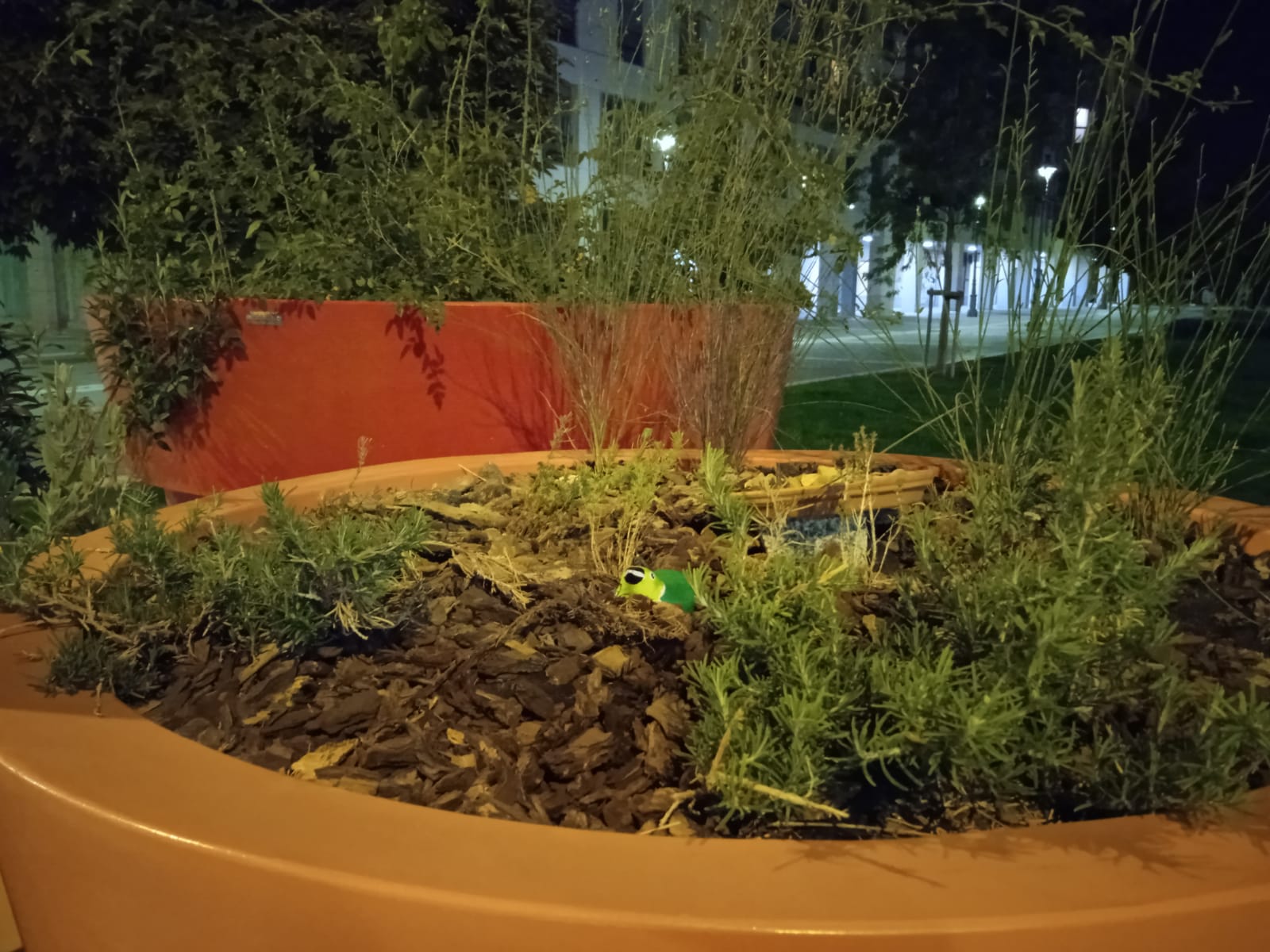 Un #VallaPájaro en Valladolid