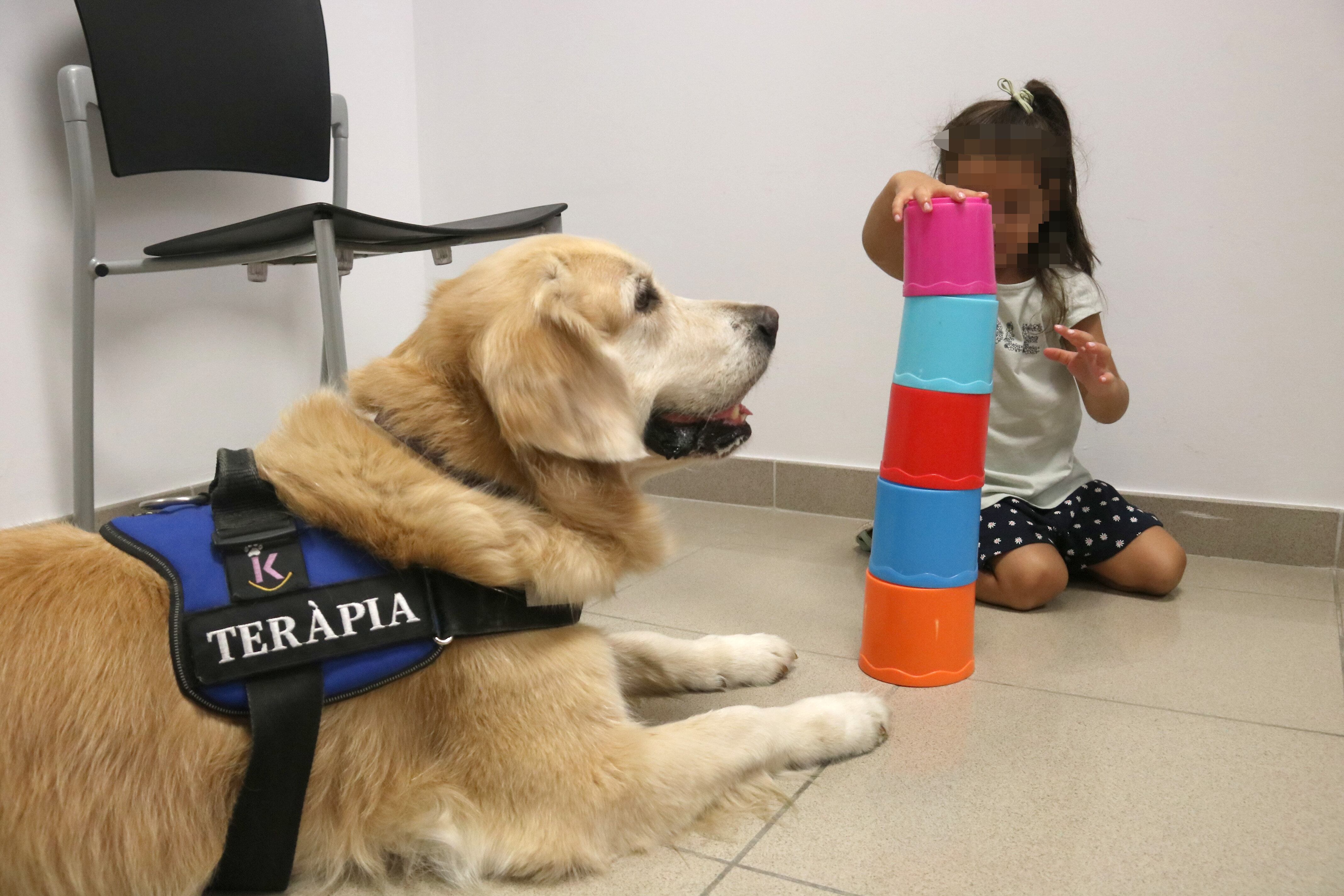 Una nena juga acompanyada d'un gos a la sala on es fan exploracions judicials a menors a Lleida.