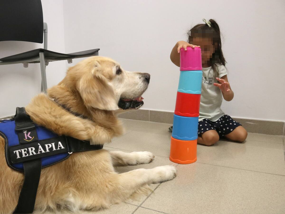 Justícia estrena a Lleida un projecte amb gossos per donar suport als menors en procediments judicials