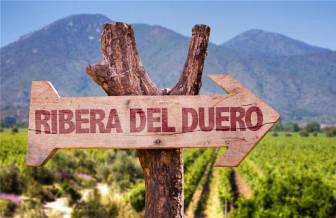 Ruta del Vino Ribera