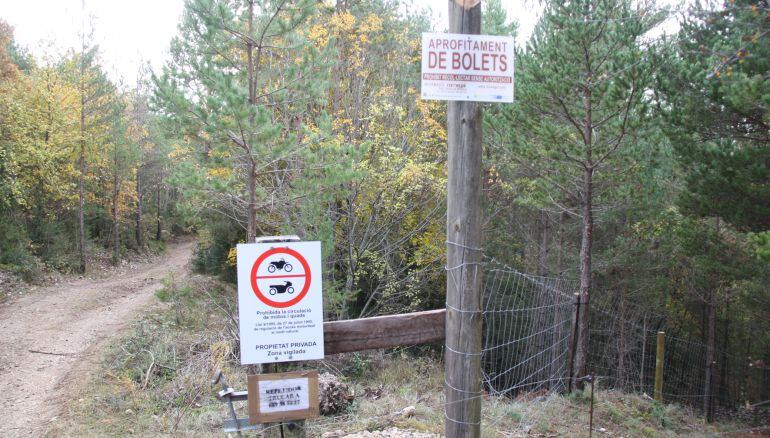 Delimitació d'una finca privada boscosa al Solsonés on hi ha un cartell on s'hi pot llegir 'Aprofitament de bolets, Prohibit recol·lectar sense autorització"
