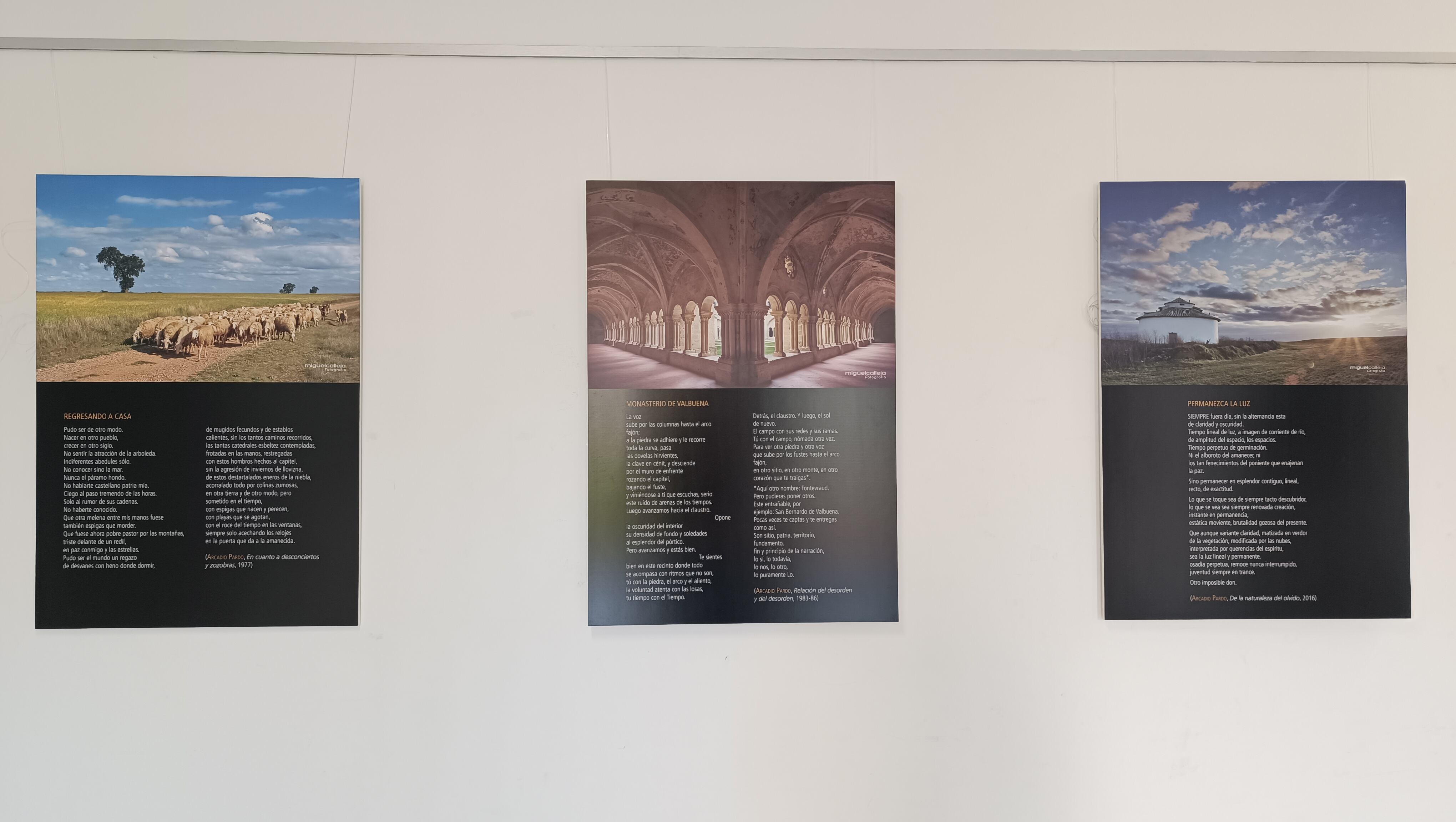 Imagen de la exposición