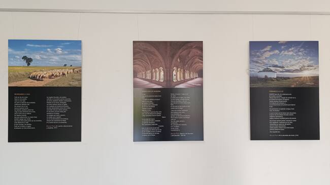 Imagen de la exposición