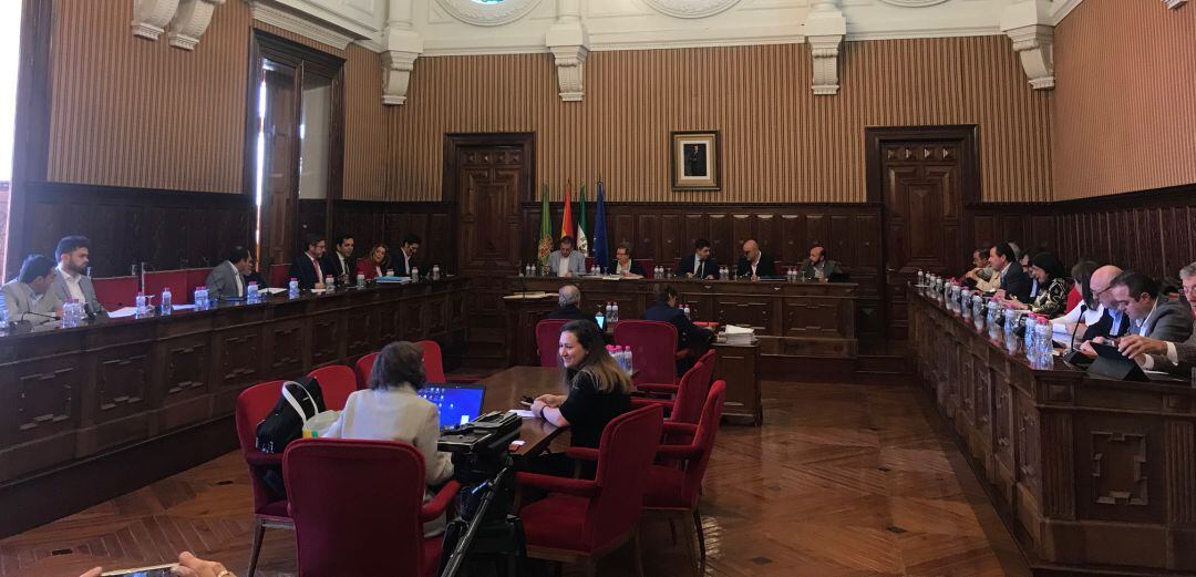 Un momento del pleno de la Diputación Provincial de Jaén.