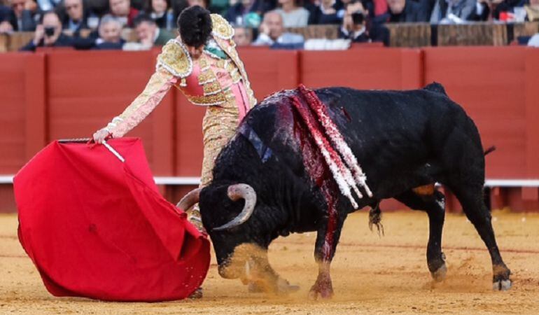 Lópz Simón en un derechazo al primer toro de su lote este Martes de farolillos en la Real Maestranza.