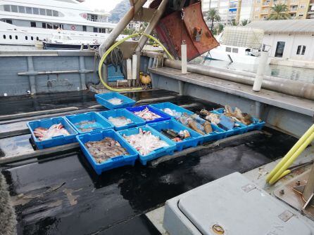 Cajas con plásticos 'pescados' por las barcas de arrastre de Dénia.