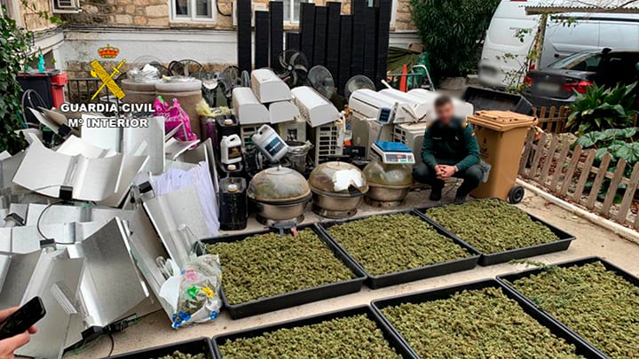 La Guardia Civil interviene 85 kilogramos de marihuana en dos viviendas de Venturada