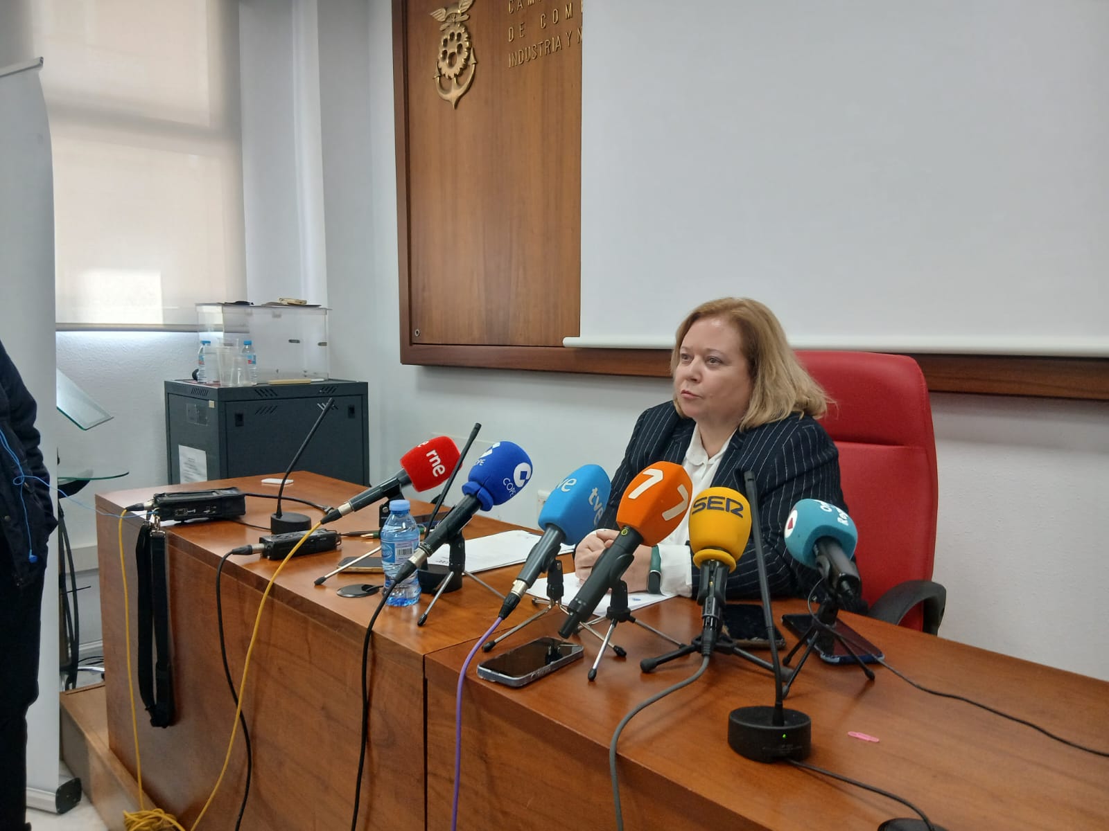 Ana Correa durante su comparecencia en COEC