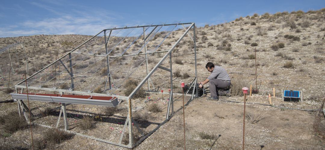 Las investigaciones se realizan en parajes dominados por esparto o retama y con presencia de musgos y líquenes