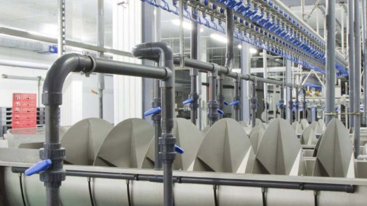 Condenados los dueños de un matadero por un delito contra los derechos de los trabajadores