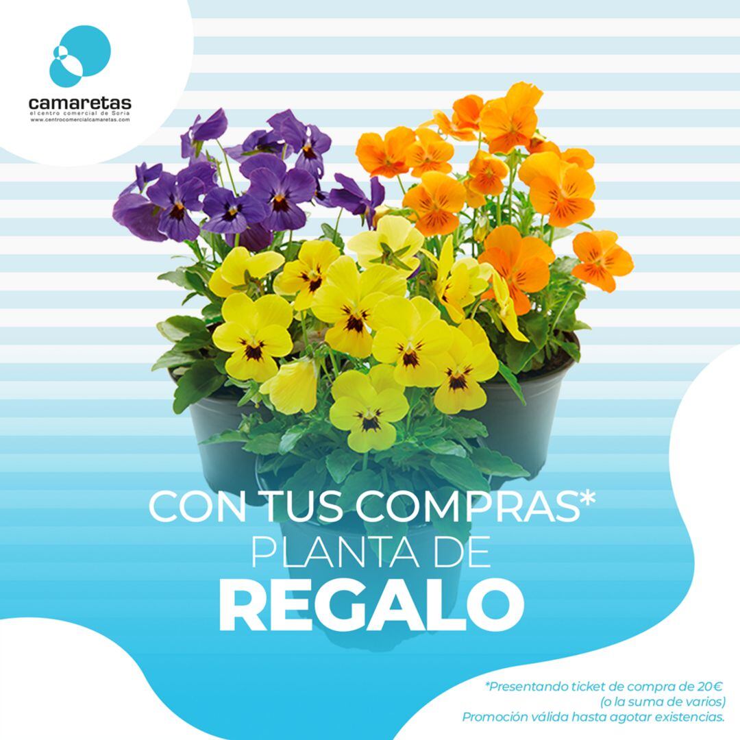 Centro comercial Camaretas