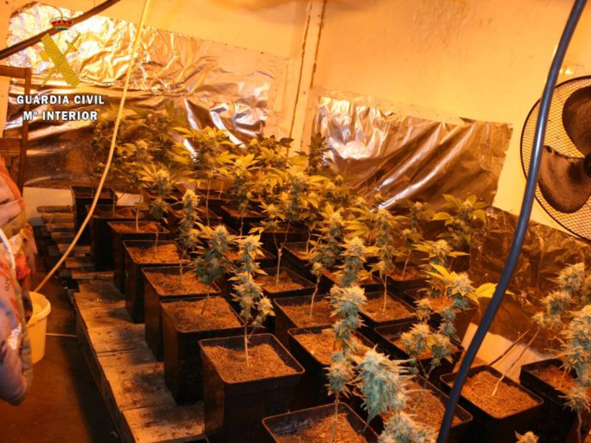 La Guardia Civil deteniene a tres personas por cultivo de drogas en Guardo