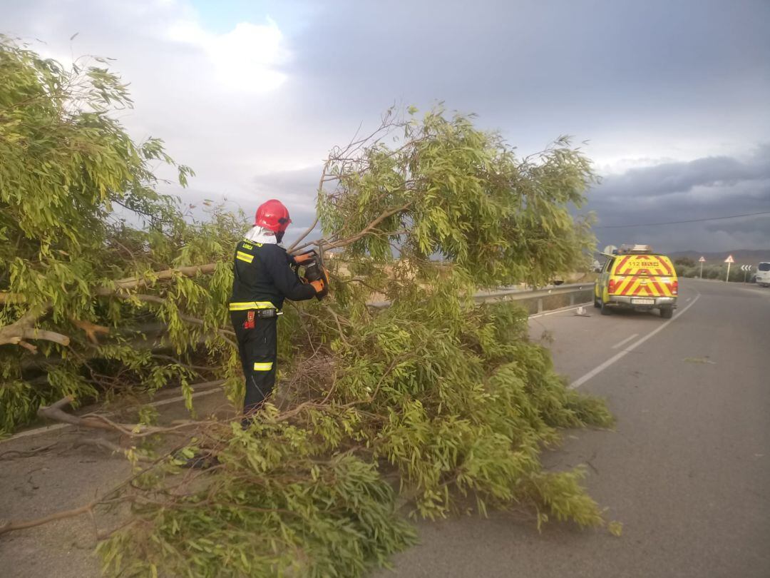 El temporal de viento provoca 16 intervenciones de emergencia en Lorca