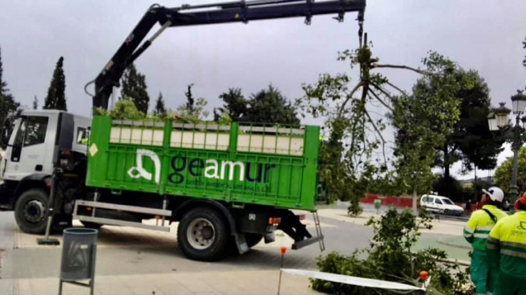 Imagen de archivo de unos operarios de GEAMUR retirando restos de poda