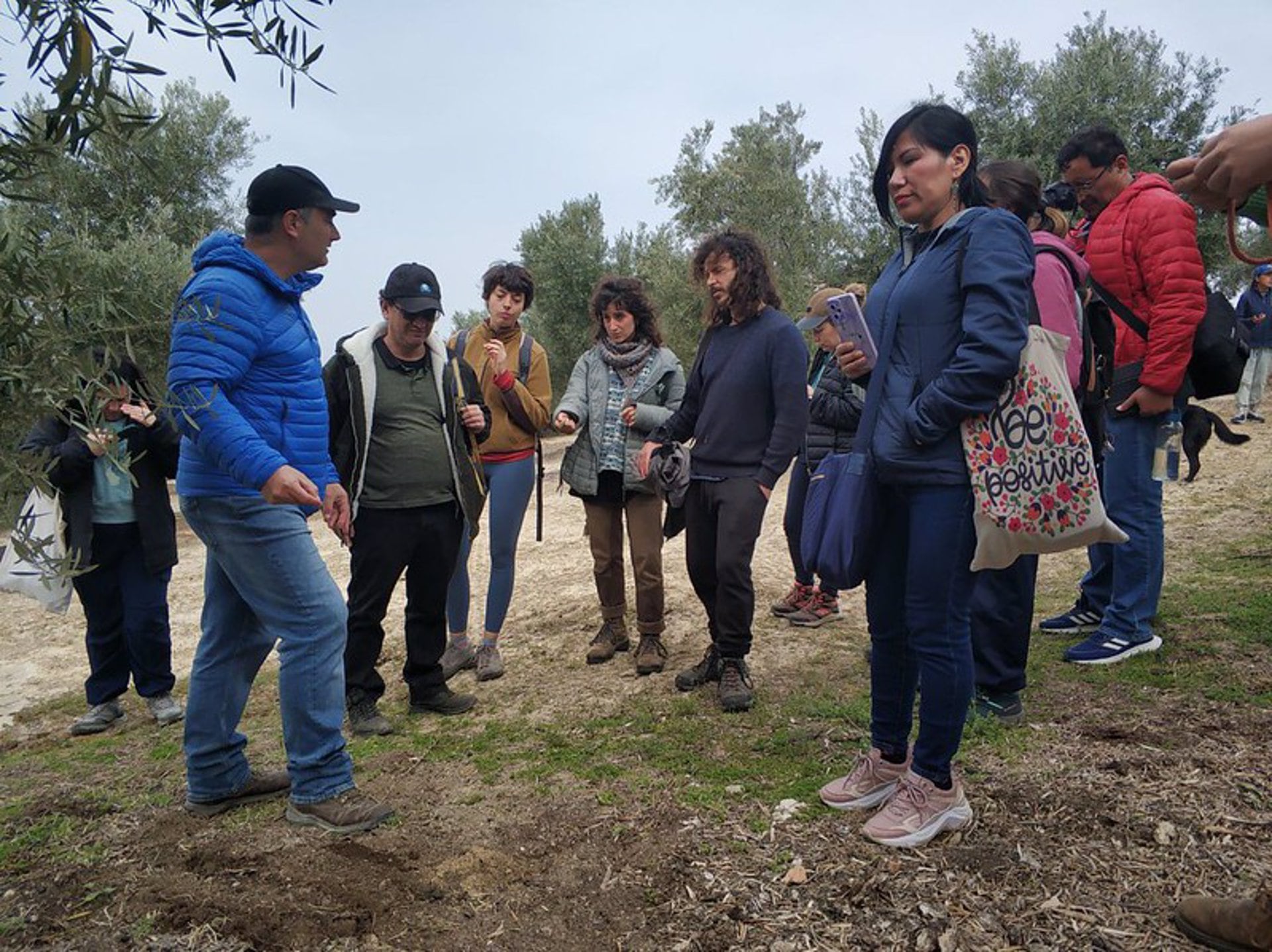 Visita a la finca de olivar ecológico