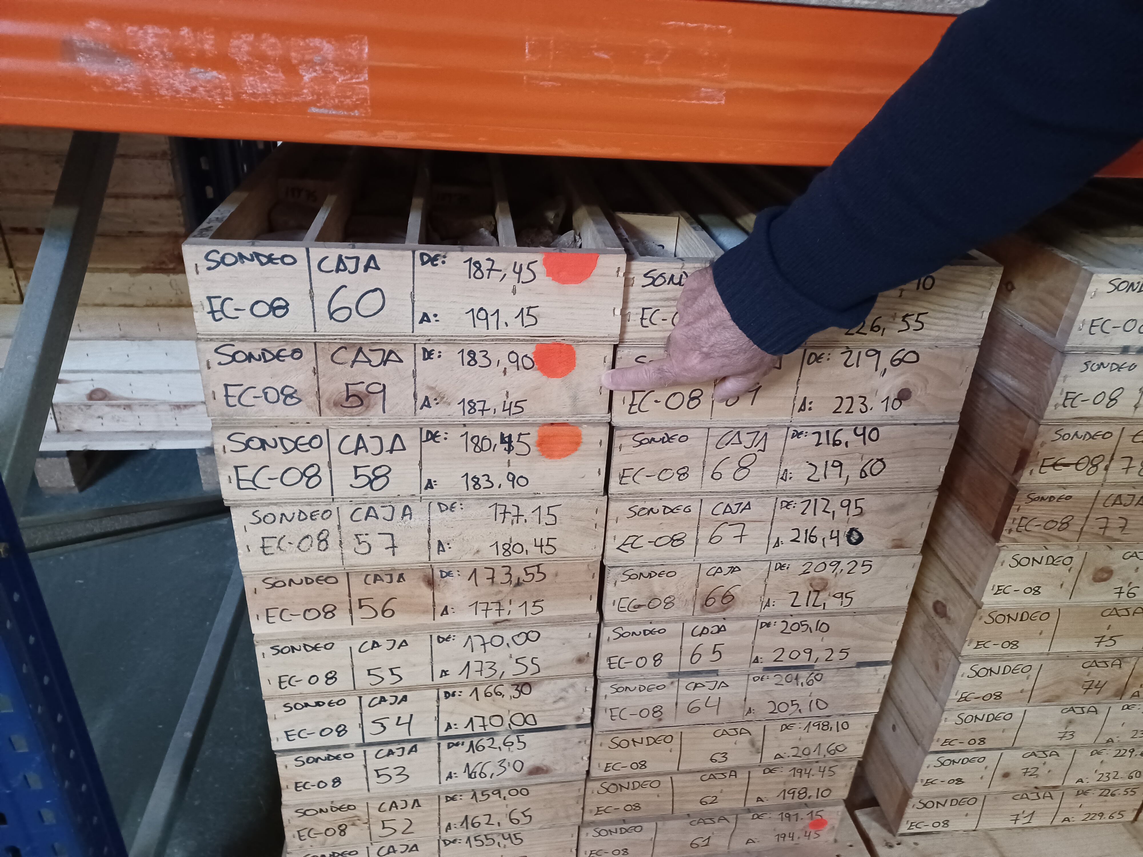 Muestras catalogadas por Nuevo Linares.