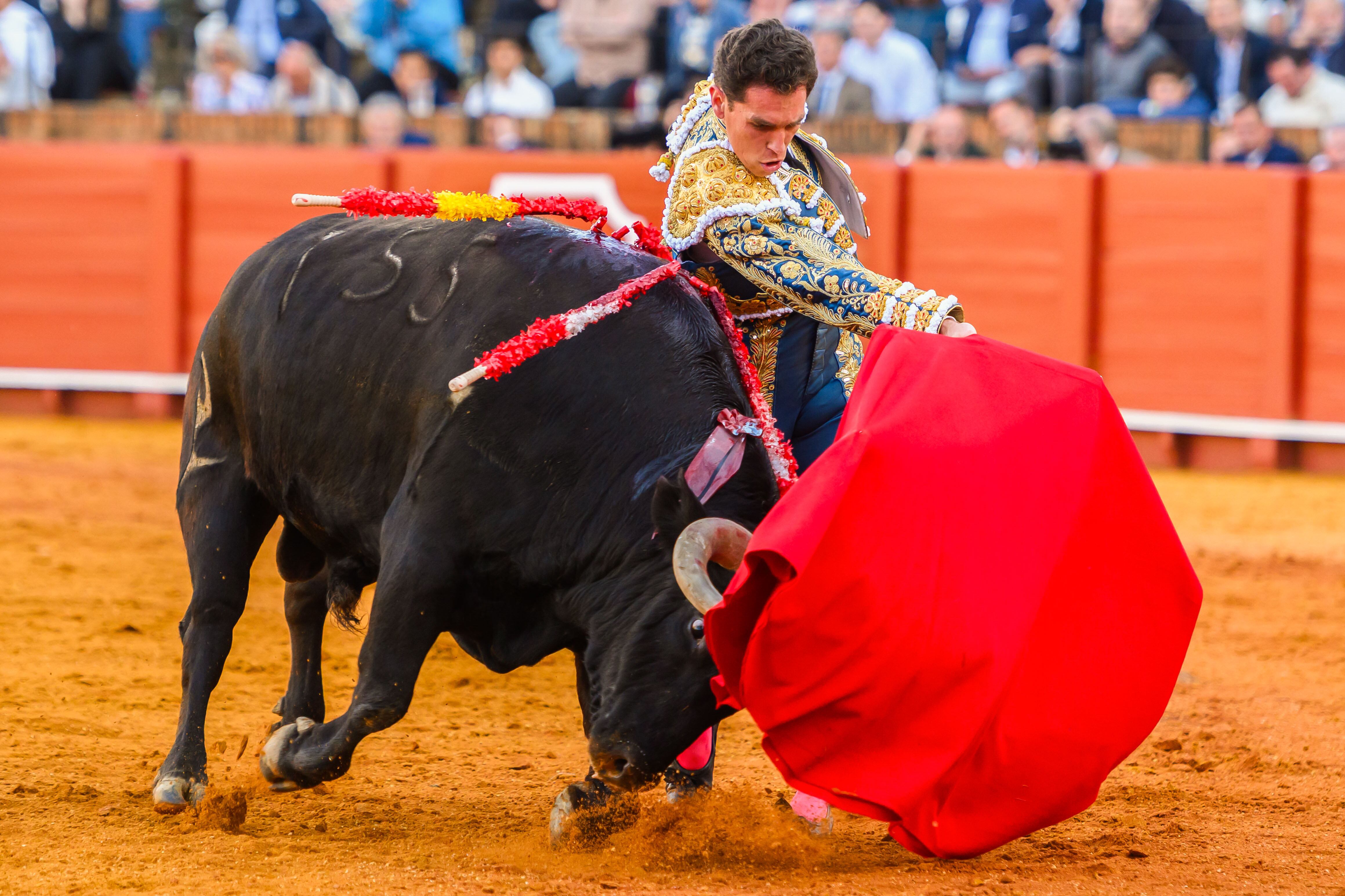 SEVILLA, 30/04/2025.- El diestro Ginés Marín con su primer toro de la tarde ?estmiércoles, en el cuarto festejo de abono en La Real Maestranza de Sevilla. EFE/ Raúl Caro
