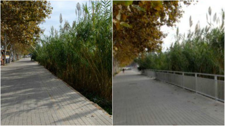 Nuevas vallas en la avenida Antonio Ferrandis en Valencia