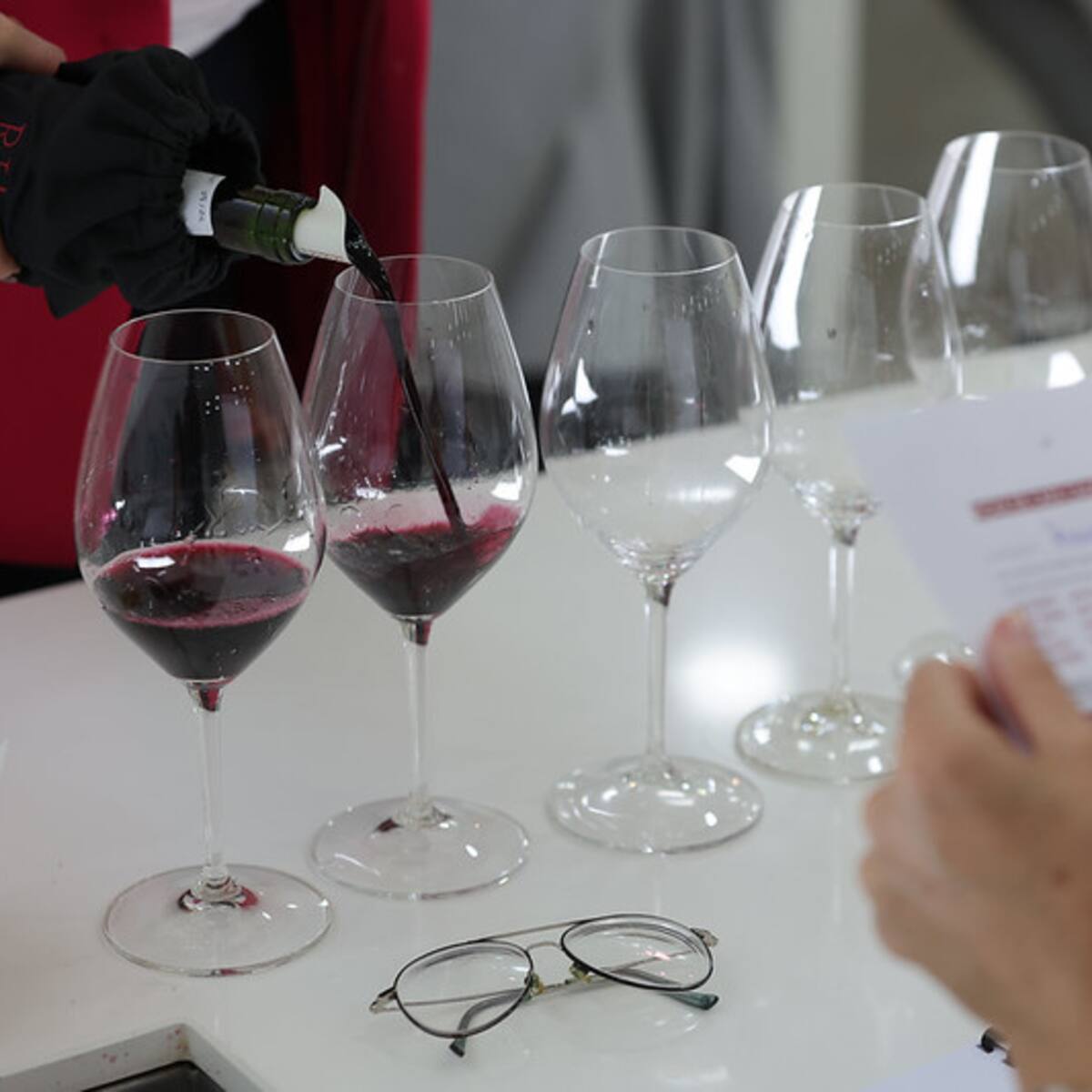 La cosecha de Ribera del Duero 2024 se examina el lunes