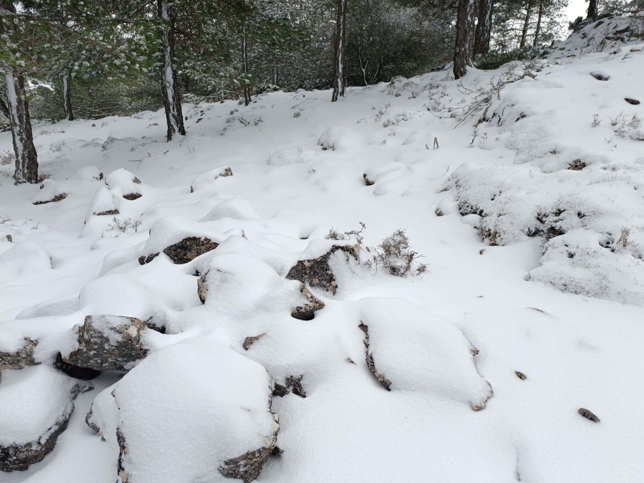 Nieve en la sierra de Moratalla