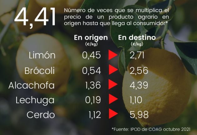 Diferencia de precios entre lo que recibe el productor y lo que paga el consumidor