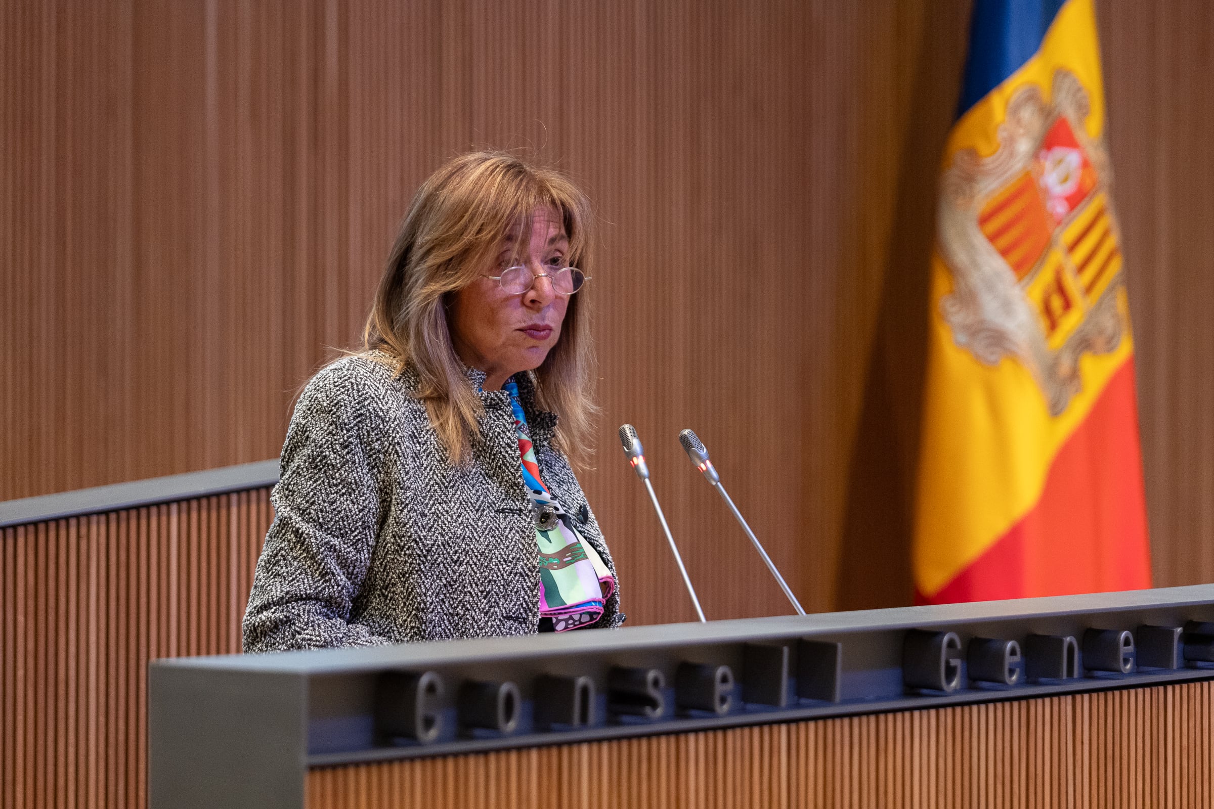 La ministra d'Habitatge, Conxita Marsol, ha defensat la llei Òmnibus 2 al Consell General