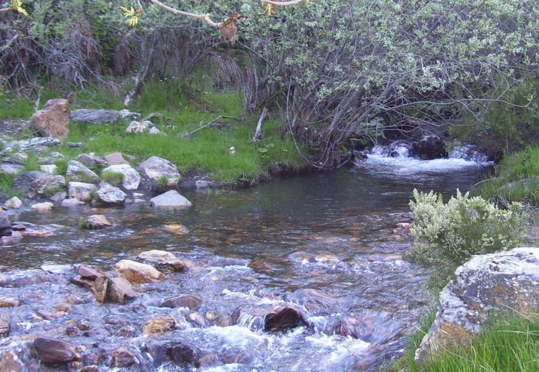 Ecologistas en Acción pide salvaguardar las zonas fluviales protegidas de León