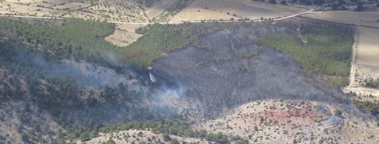 Incendio de Nerpio en Albacete declarado a las 13:30h de este miércoles 