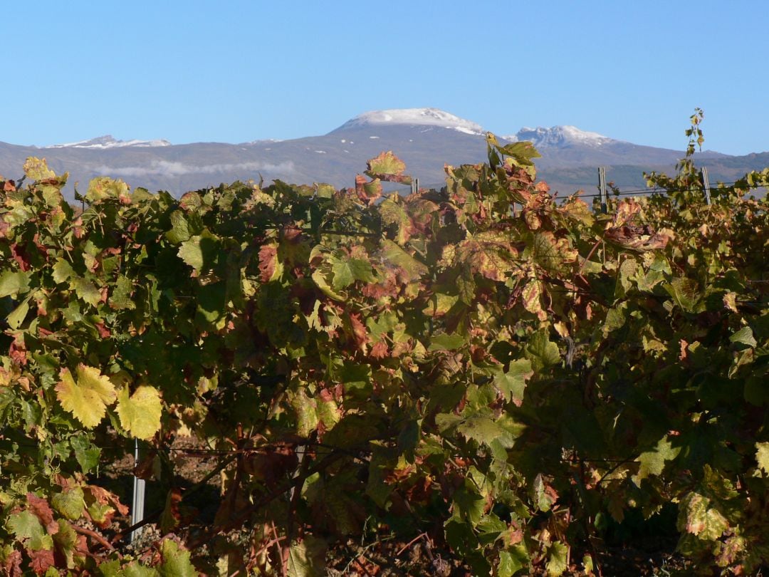 Vigiriega y primeras nieves en Sierra Nevada