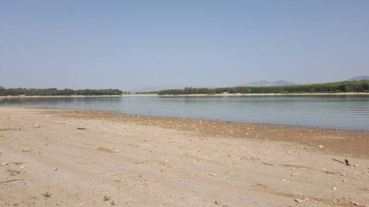 Los pantanos, cada día más secos