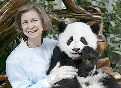 La Reina sostiene en sus brazos a uno de los dos osos panda regalados por el Gobierno chino.