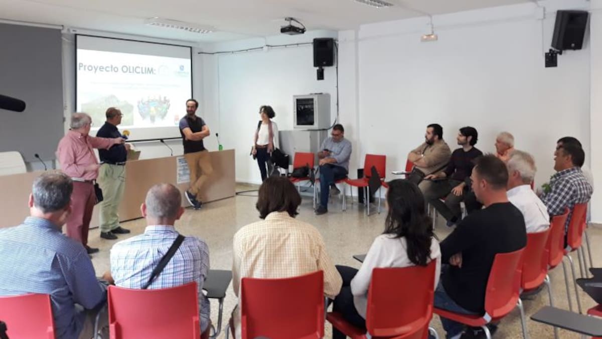 Cambio Climático y prácticas agrícolas en el olivar de Sierra Mágina