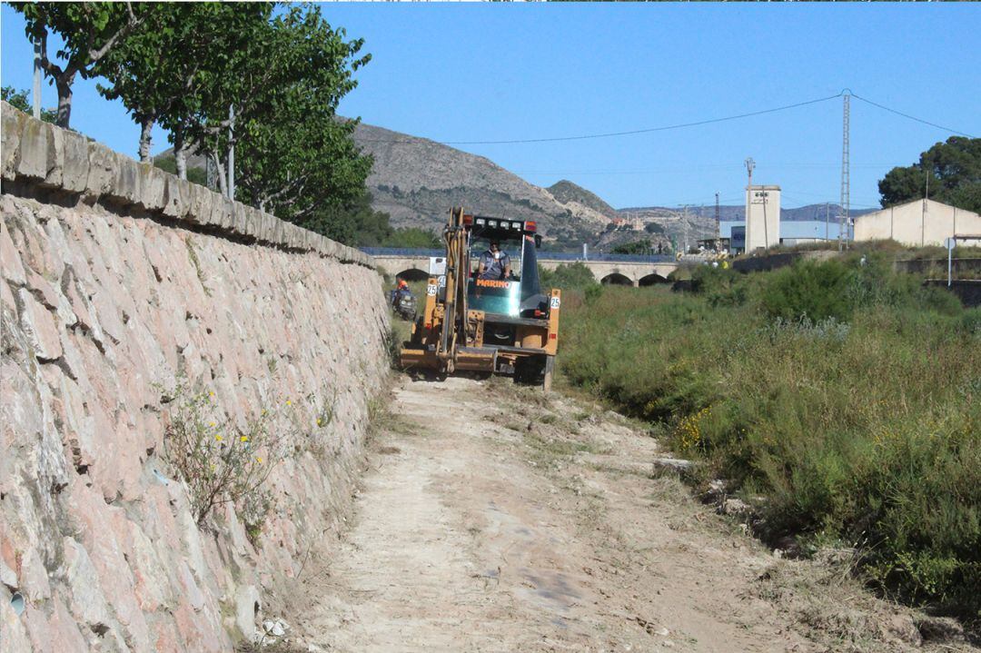 Desbroce río Vinalopó en Novelda