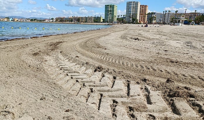 Limpieza de algas en La Línea