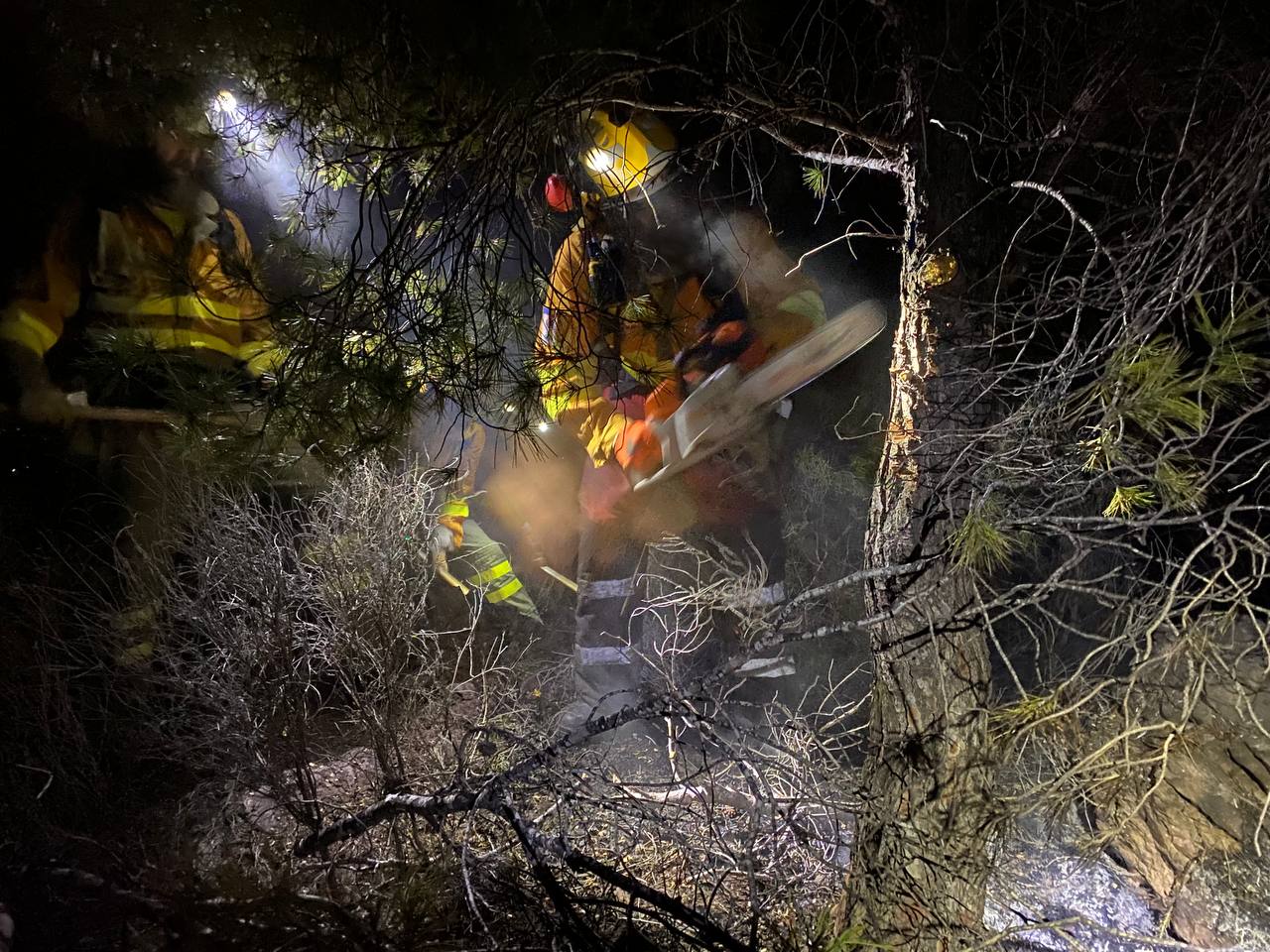 Miembros de la Brigada Foresta trabajan en la zona del incendio en Algezares (Murcia)