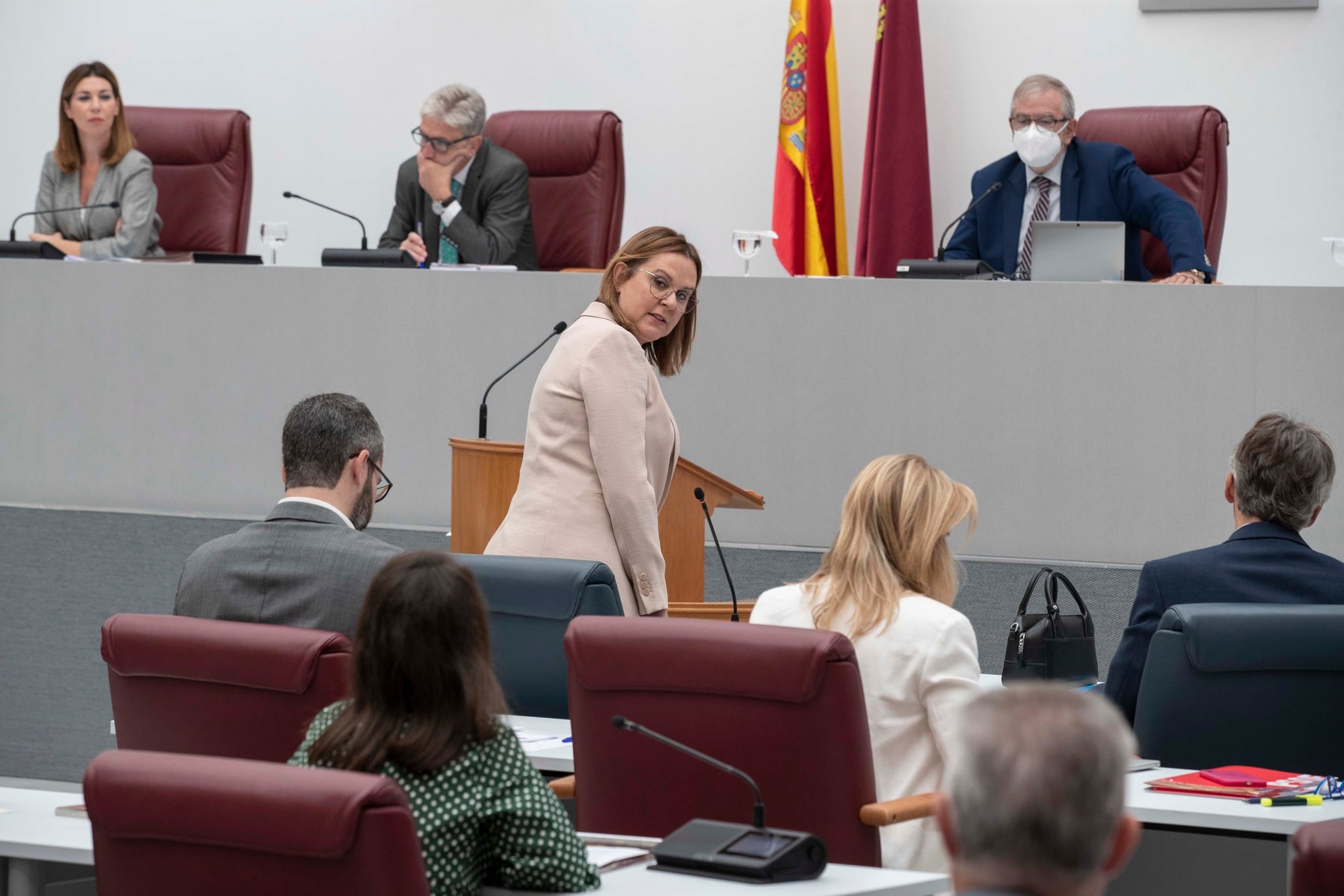 Pleno de la Asamblea Regional