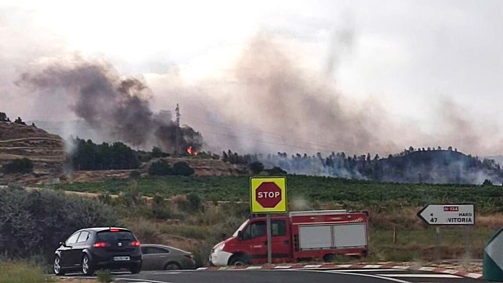 Imágenes del incendio forestal en Gimileo que después salto a la ribera alavesa del Ebro
