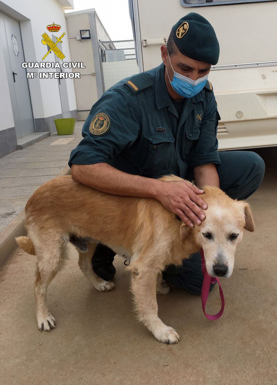 El perro abandonado con un agente de la Guardia Civil