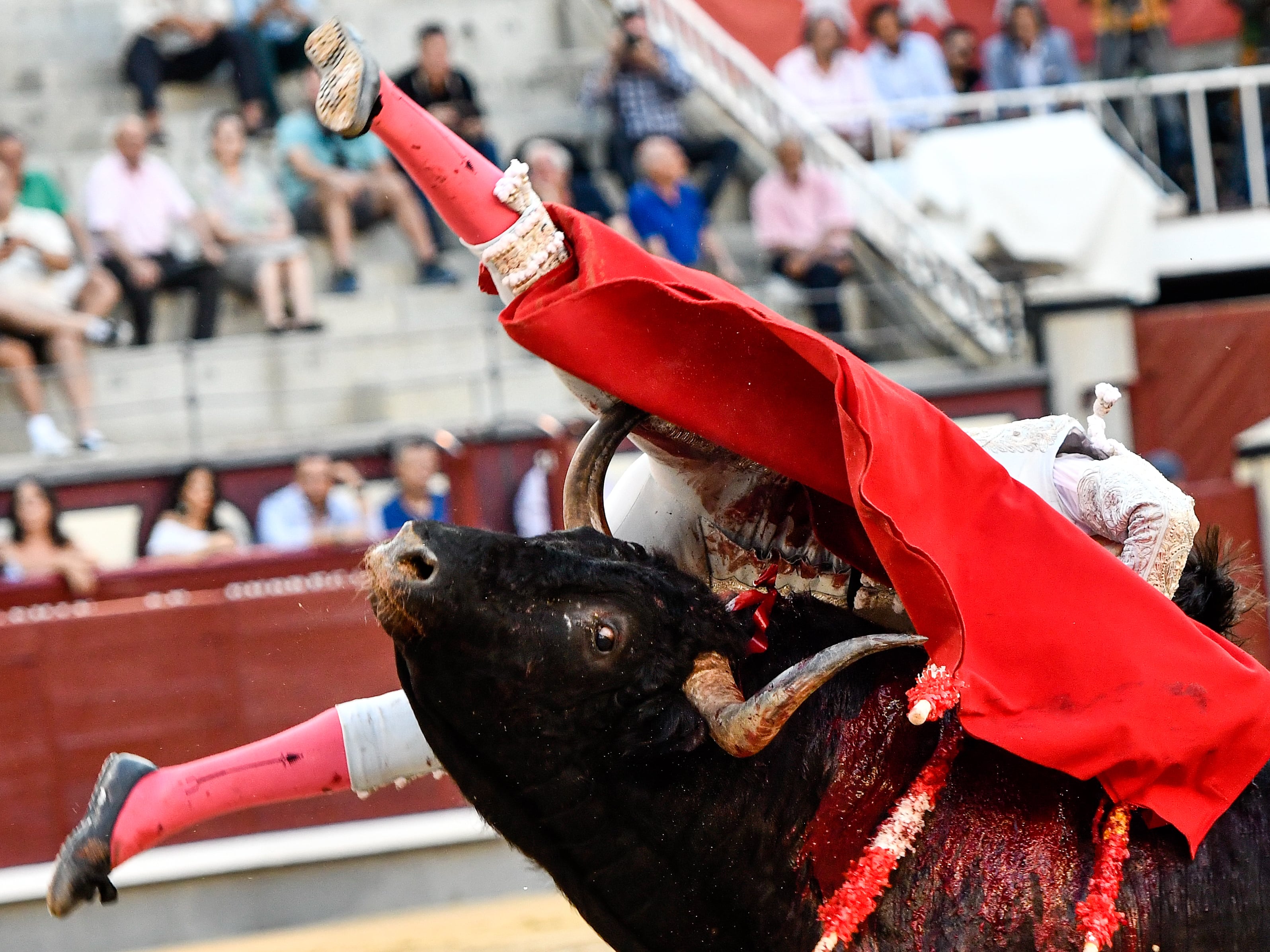 El distro Francisco José Espada ha resultado herido de gravedad en una nueva cogida en Las Ventas