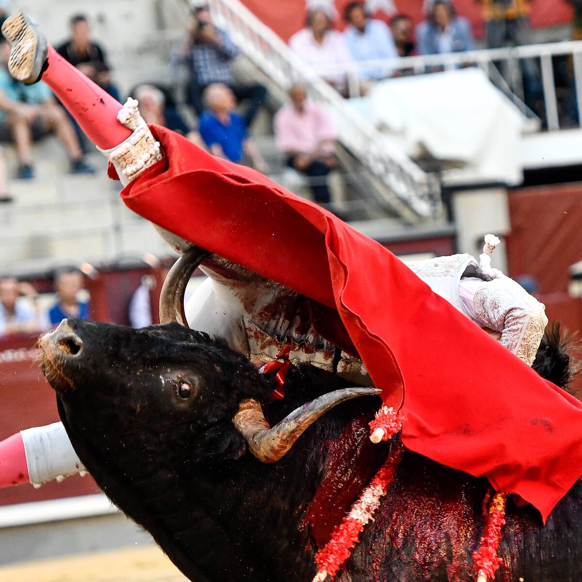 Herido grave el torero fuenlabreño Francisco José Espada de nuevo en Las Ventas