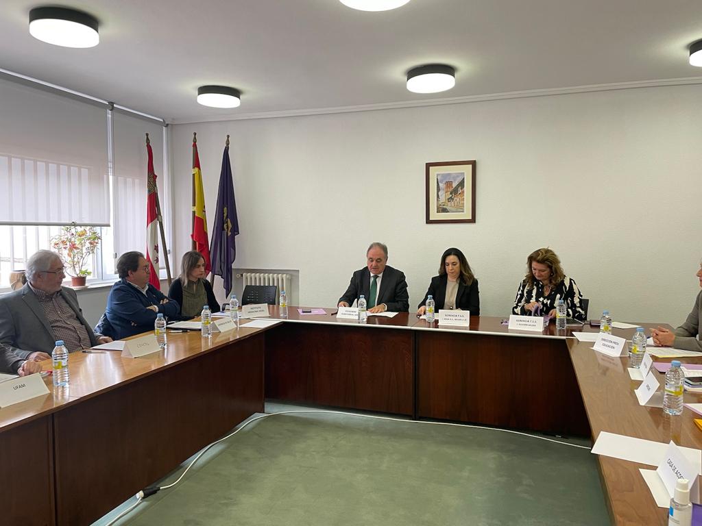 Comisión Territorial contra la Violencia de Género