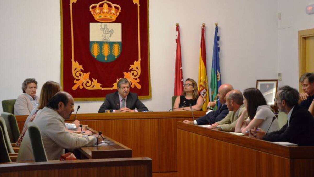 LUIS PARTIDA ALCALDE DE VILLANUEVA DE LA CAÑADA